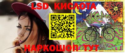 наркотики Кингисепп