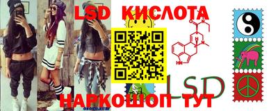 наркотики Кингисепп