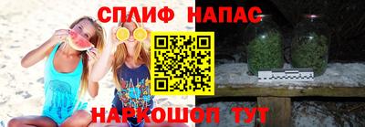 индика Кинель