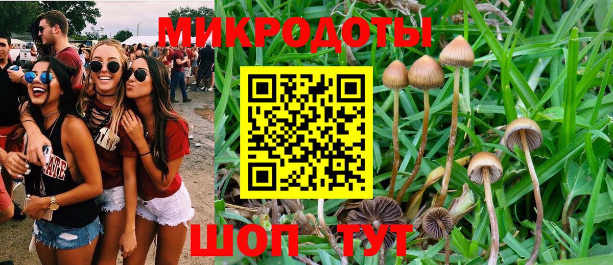 закладки  Галлюциногенные грибы прущие грибы  Красноуфимск  Вход с VPN  Галлюциногенные грибы мицелий 